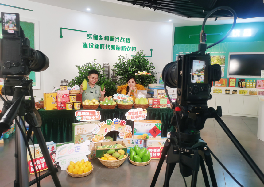 平安产险广西分公司开展芒果助农直播活动。平安产险广西分公司供图